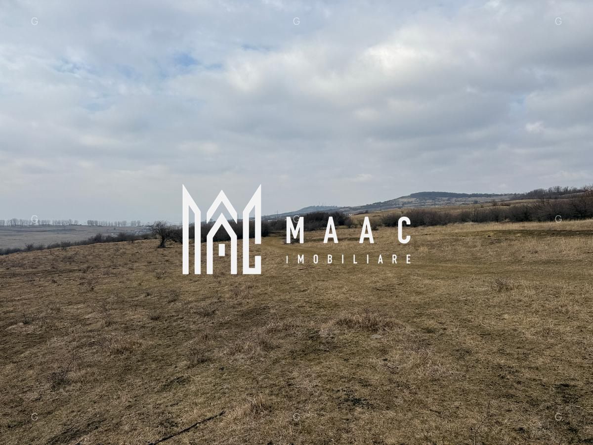 Teren 6,75 ha | Panoramă și Acces Excelent | Dealul Daii