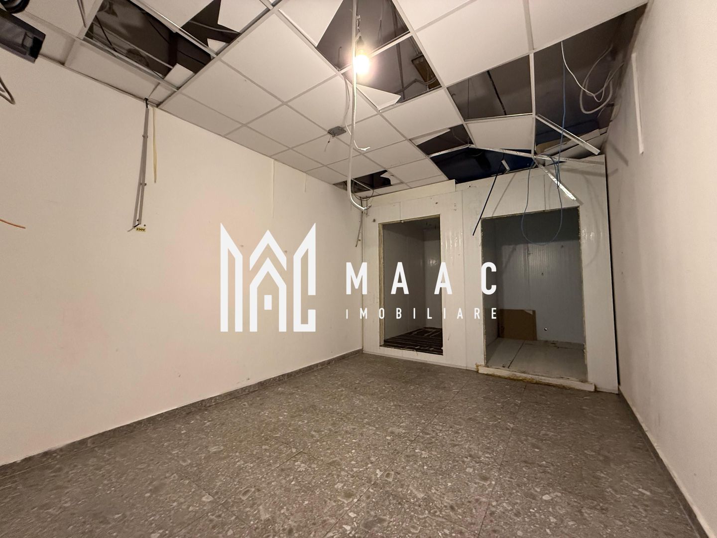 anBn-16858 Spatiu comercial/birouri I VAD I Expunere I Mihai Viteazu