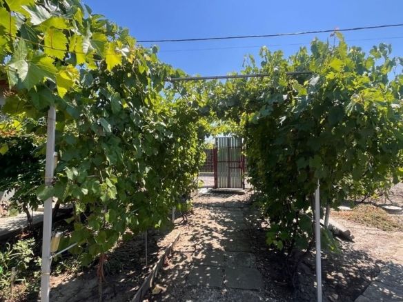 Casă individuală de vânzare în Braniștea - Teren 464 mp -76000 euro - foto 3