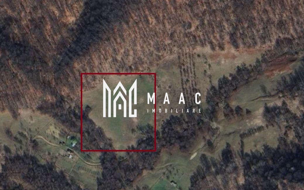 Teren Extravilan 20.000Mp I Stoenești -Vâlcea I Apă Curentă și Pădure - Imagine principala
