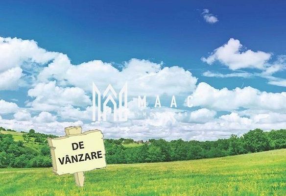 Teren Extravilan 20.000Mp I Stoenești -Vâlcea I Apă Curentă și Pădure