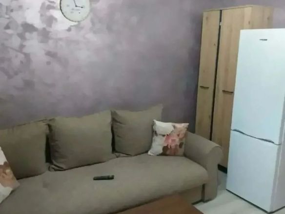 De inchiriat garsoniera micro 40, parter, 1200 lei - foto 3