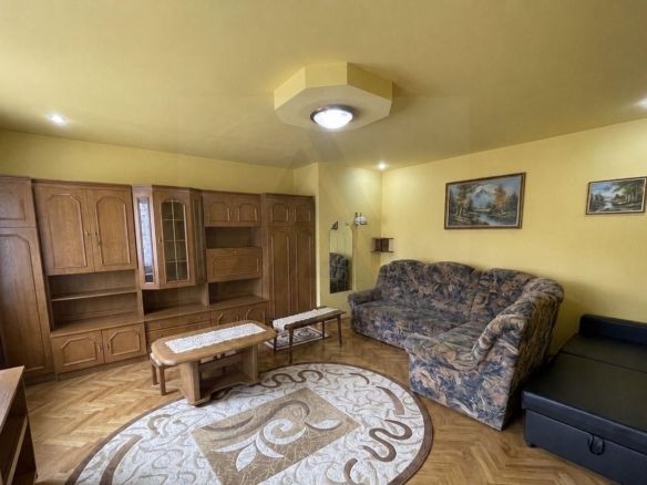 Apartament la casa 2 camere 76 mp utili terasa 8 mp Zona Terezian - Imagine principala