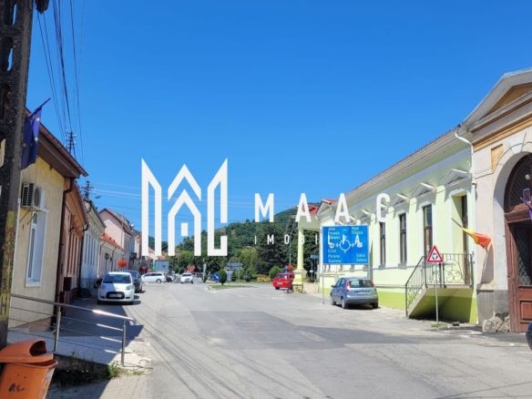 Casă 12 camere de vânzare | Central, Săliște | 420 mp, teren 500 mp - Imagine principala
