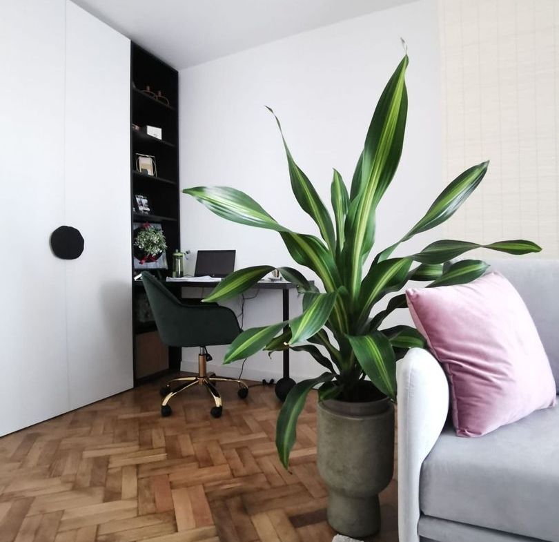Apartament 2 camere, zona centrala