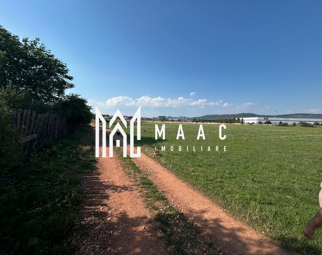 Teren 23.300 mp | 200 ml | Ideal dezvoltare rezidențială sau industrială - foto 3 Teren 23.300 mp | 200 ml | Ideal dezvoltare rezidențială sau industrială - foto 3