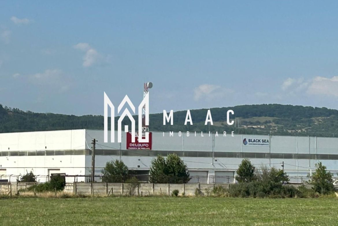 Teren 23.300 mp | 200 ml | Ideal dezvoltare rezidențială sau industrială - foto 4