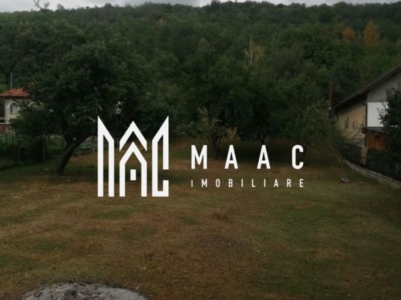 Teren Intravilan 10.000 mp | Livadă + Pădure de salcâm | Bărbătești - foto 2