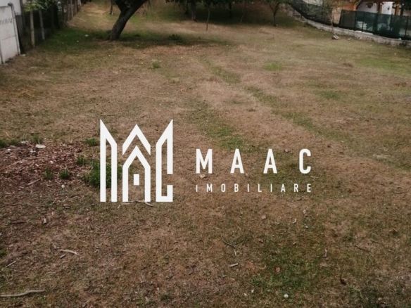 Teren Intravilan 10.000 mp | Livadă + Pădure de salcâm | Bărbătești - foto 3