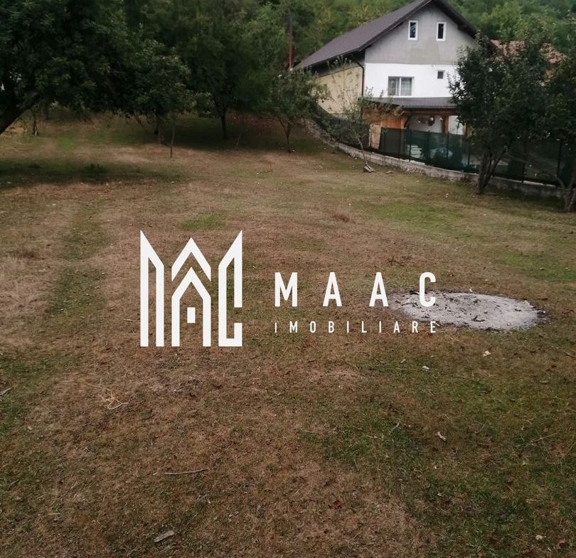 Teren Intravilan 10.000 mp | Livadă + Pădure de salcâm | Bărbătești - foto 4
