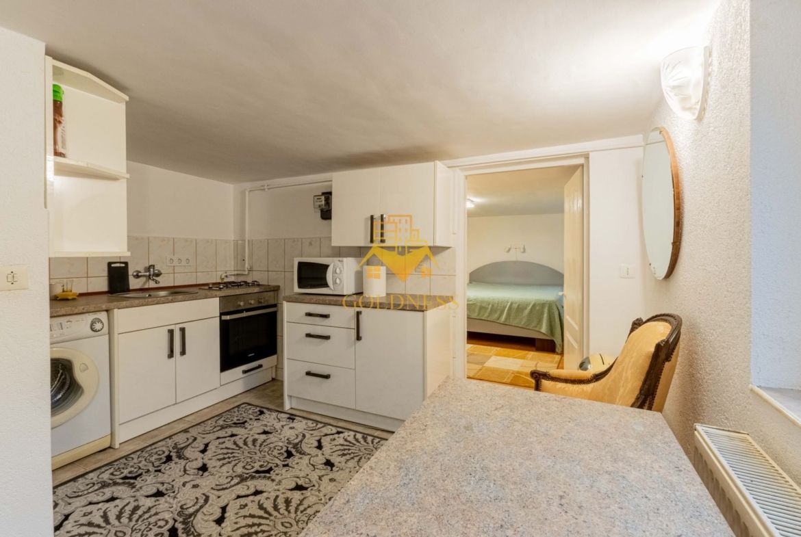 Garsoniera, la casa, parcare, Zorilor Zona UMF, Marinescu, Piezisa - foto 3