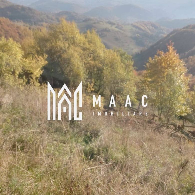 5000 teren in Muntii Apuseni I Pregatit pentru constructie - Imagine principala