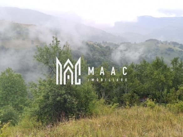 5000 teren in Muntii Apuseni I Pregatit pentru constructie - foto 3