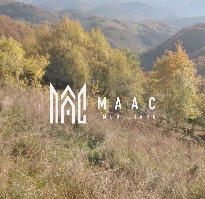 5000 teren in Muntii Apuseni I Pregatit pentru constructie - foto 5