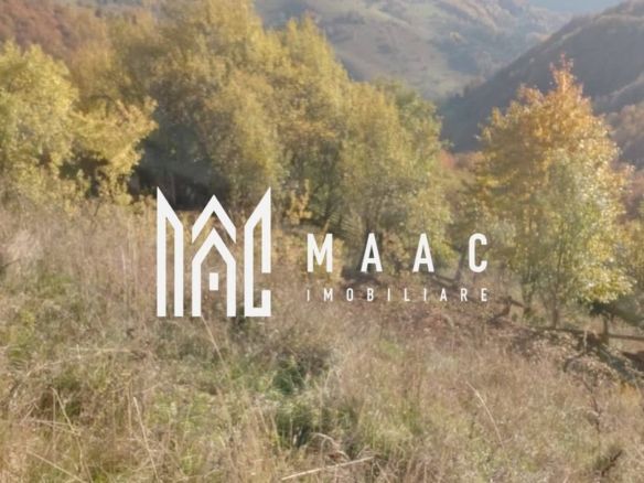 Super ofertă 35000 teren in Muntii Apuseni - Imagine principala
