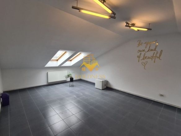 Spatiu de birou, depozitare, zona Centrala, Platinia, Motilor - foto 2