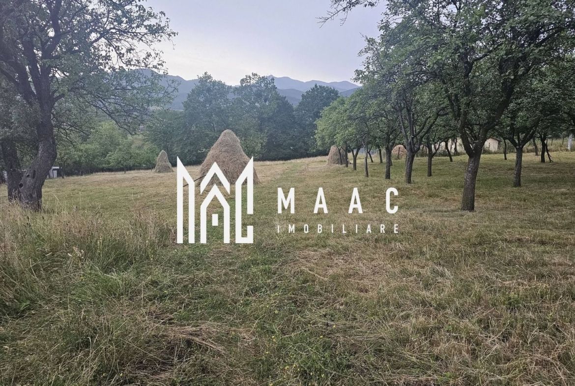 Casă 1 cameră de vânzare | Rădăcinești, Vâlcea | 5500 mp teren - foto 8