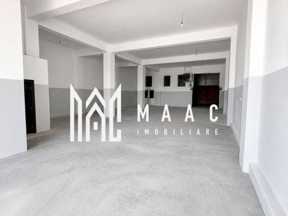 Hală Industrială | 300 MP | Terezian | Acces TIR - foto 2