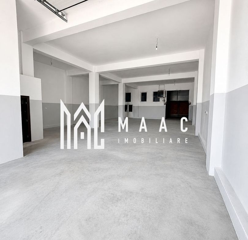 Hală Industrială | 300 MP | Terezian | Acces TIR - foto 2