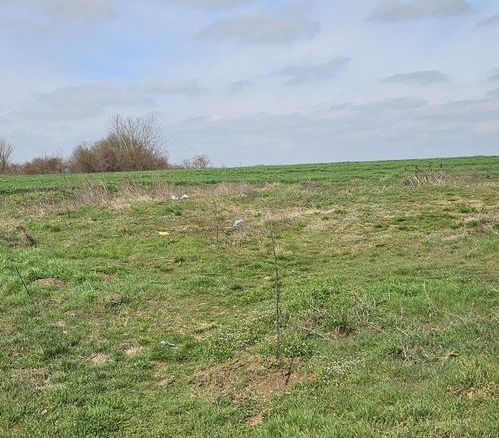 Afumati Balta Batal teren de vanzare 7000 mp - foto 3