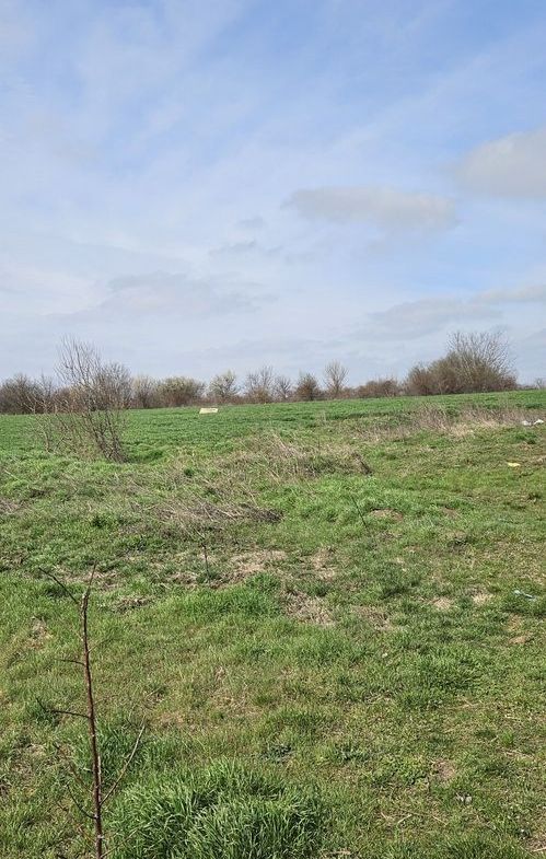 Afumati Balta Batal teren de vanzare 7000 mp - foto 4