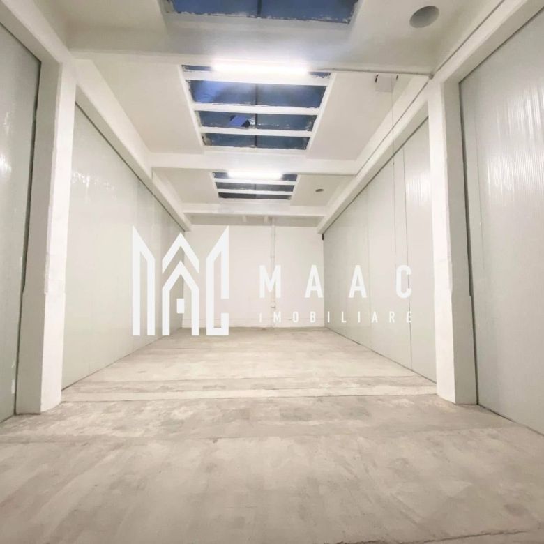 Hală de închiriat I 100 mp I Cisnădie, Sibiu - Imagine principala