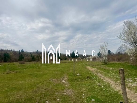 Teren intravilan de vanzare I 1990 mp I Valea Avrigului – lângă Cabana Aris - Imagine principala