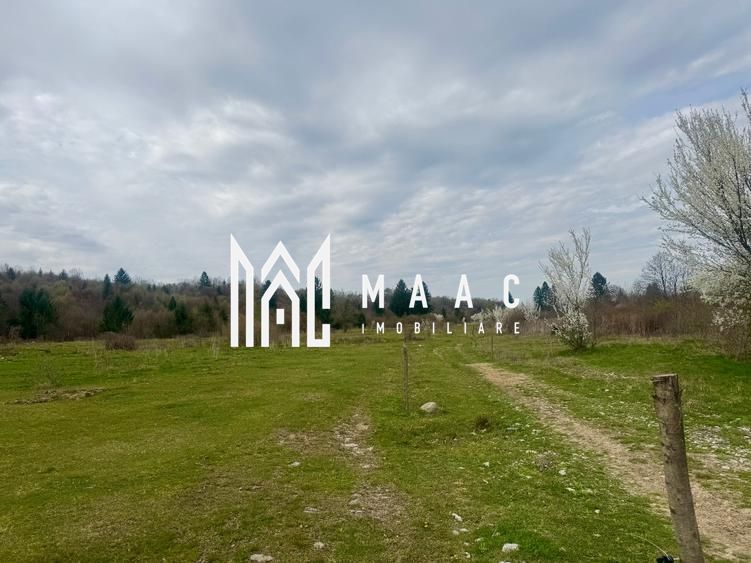 Teren intravilan de vanzare I 1990 mp I Valea Avrigului – lângă Cabana Aris - Imagine principala