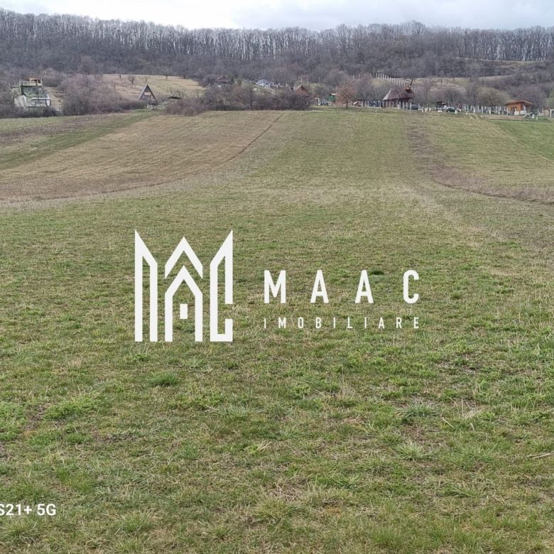 Teren 5400 mp | Parcelabil | Zona sub Valea Marului | Cristian - Imagine principala