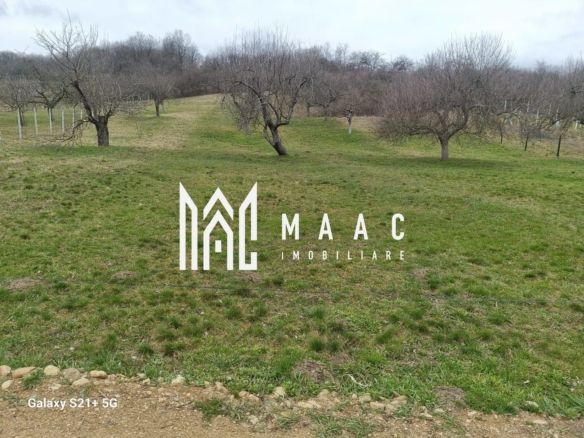 Teren 1400 mp | Valea Mărului | Parcelabil | Cabane / Retreat în natură - Imagine principala