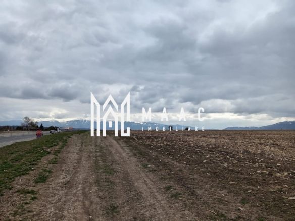 SELIMBAR I 2000 MP I INVESTITIE PARC FOTOVOLTAIC - foto 2