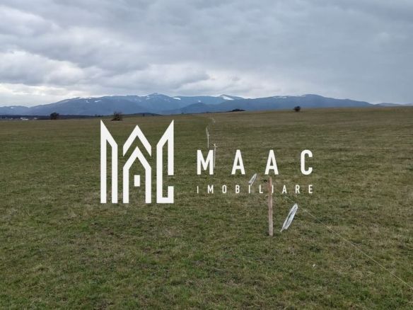 SELIMBAR I 2000 MP I INVESTITIE PARC FOTOVOLTAIC - foto 3