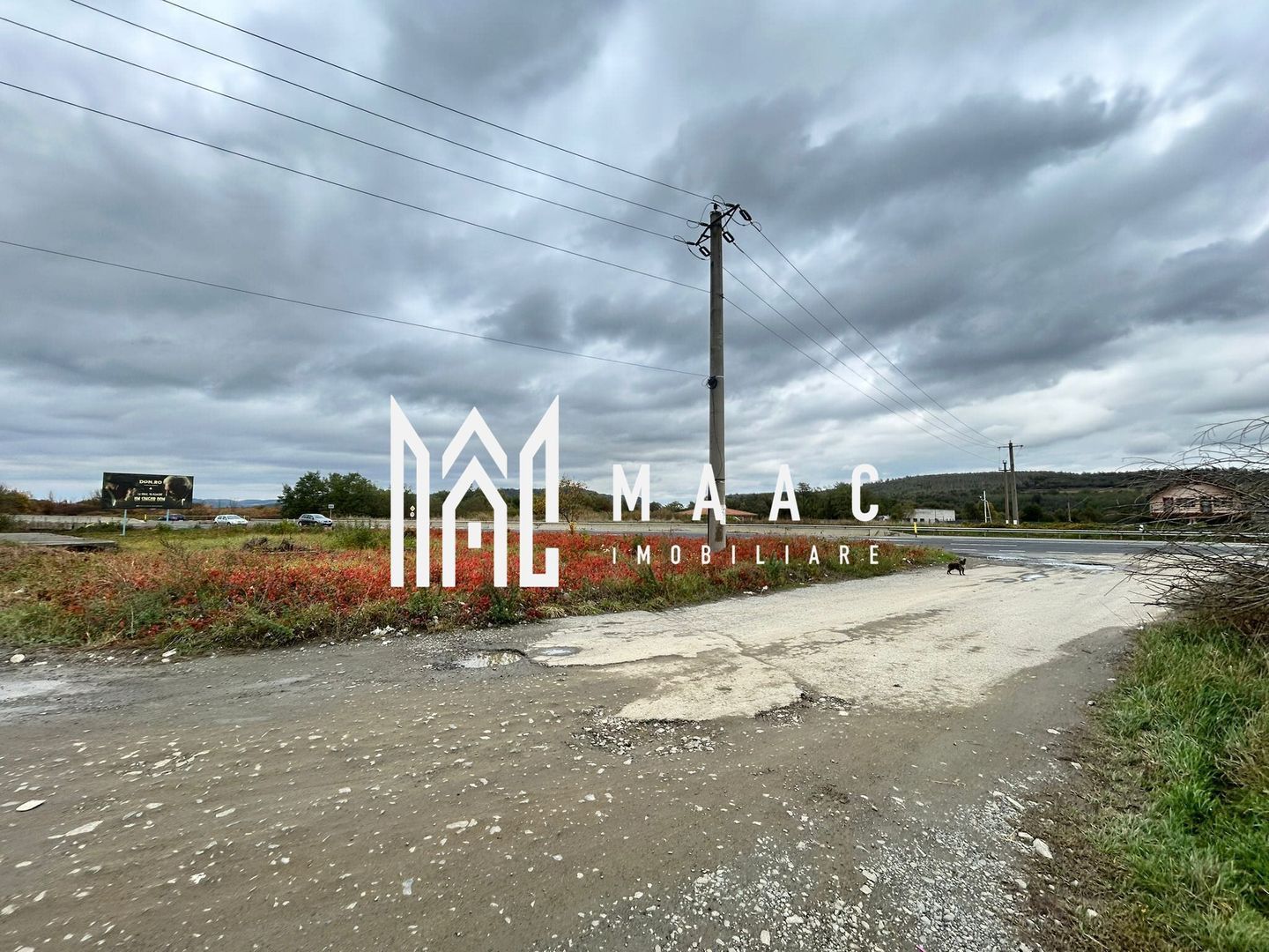 Teren extravilan | 3700 mp | Deschidere la DN | Intrare Vestem – Sibiu - foto 5