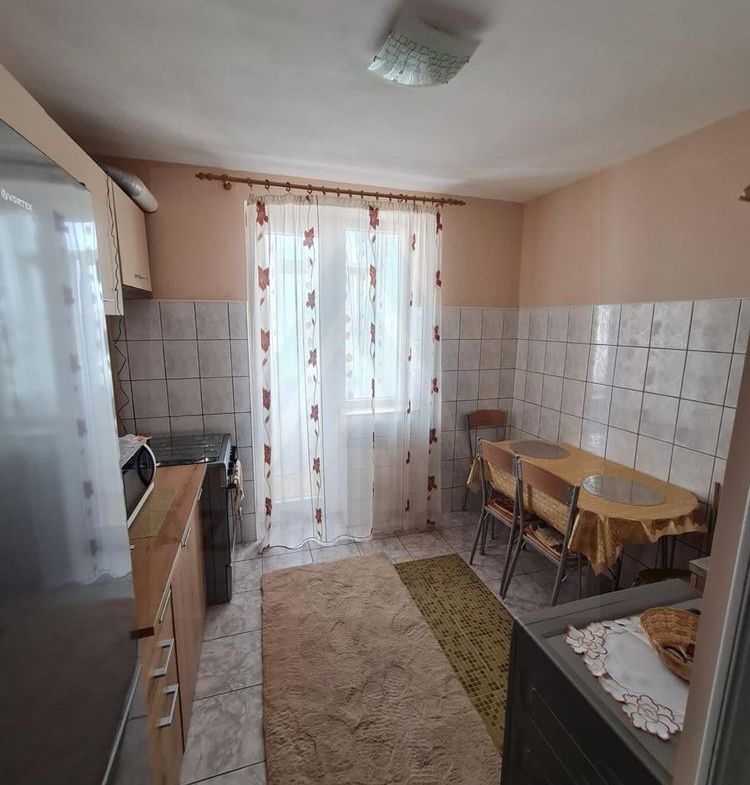 Apartament 1 camera 41 mp utili pivnita si balcon inchis Turnisor - foto 3