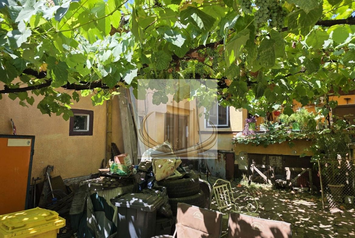 Casa renovabila Calea Torontalului - foto 3
