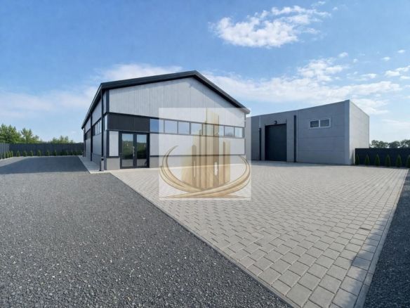Hală Industrială Săcălaz | 110-330 mp | Acces TIR - Imagine principala