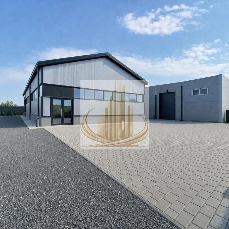 Hală Industrială Săcălaz | 110-330 mp | Acces TIR - Imagine principala