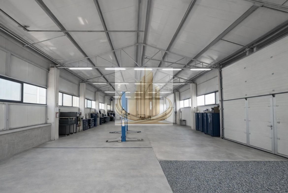 Hală Industrială Săcălaz | 110-330 mp | Acces TIR - foto 3