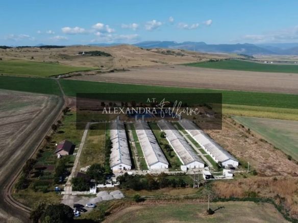 Ferma/ Hala industriala de vanzare, Bogata, Cluj - Imagine principala