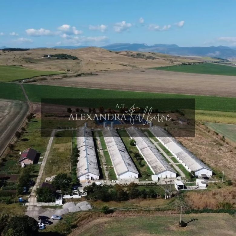 Ferma/ Hala industriala de vanzare, Bogata, Cluj - Imagine principala