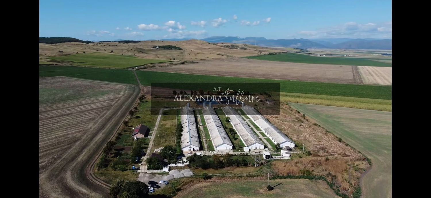 Ferma/ Hala industriala de vanzare, Bogata, Cluj - Imagine principala