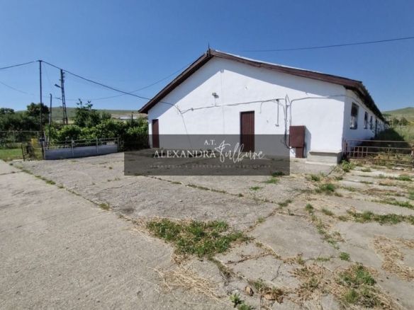 Ferma/ Hala industriala de vanzare, Bogata, Cluj - foto 3