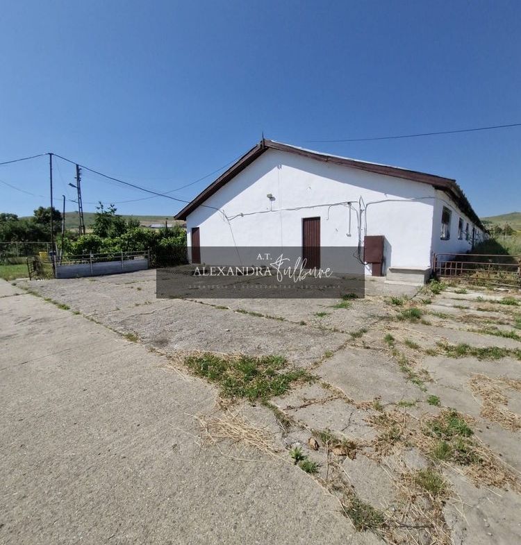 Ferma/ Hala industriala de vanzare, Bogata, Cluj - foto 3