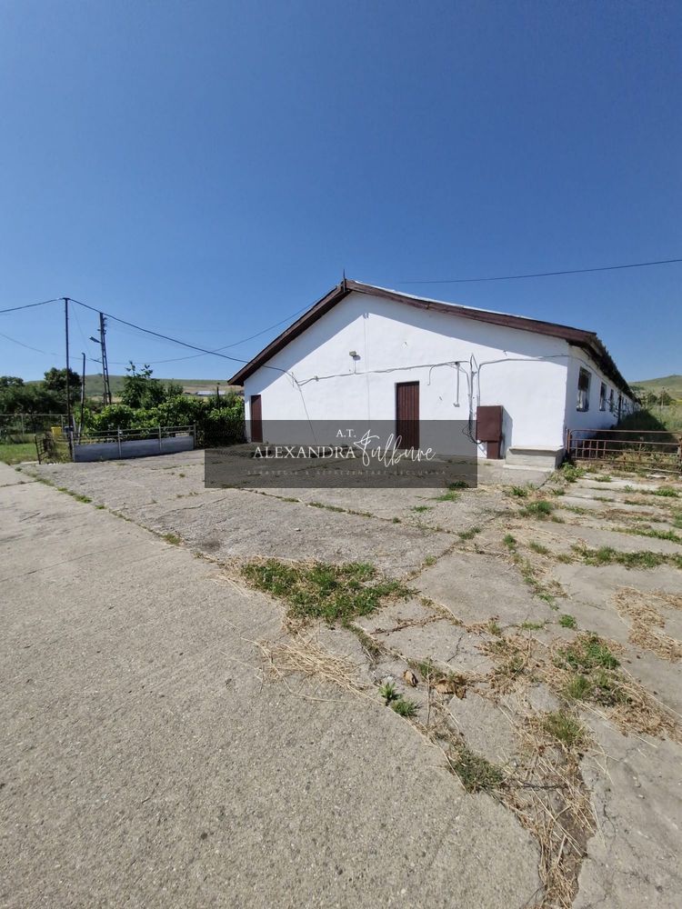 Ferma/ Hala industriala de vanzare, Bogata, Cluj - foto 3
