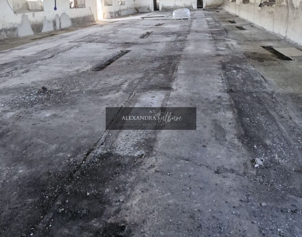 Ferma/ Hala industriala de vanzare, Bogata, Cluj - foto 6