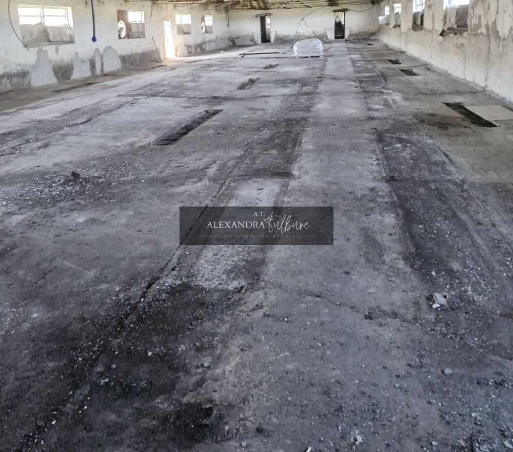 Ferma/ Hala industriala de vanzare, Bogata, Cluj - foto 6