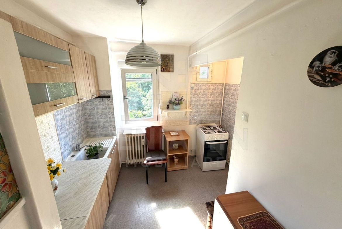 2 camere semidecomandat Brazda lui Novac - Pedagogic -teava -52mp - foto 5