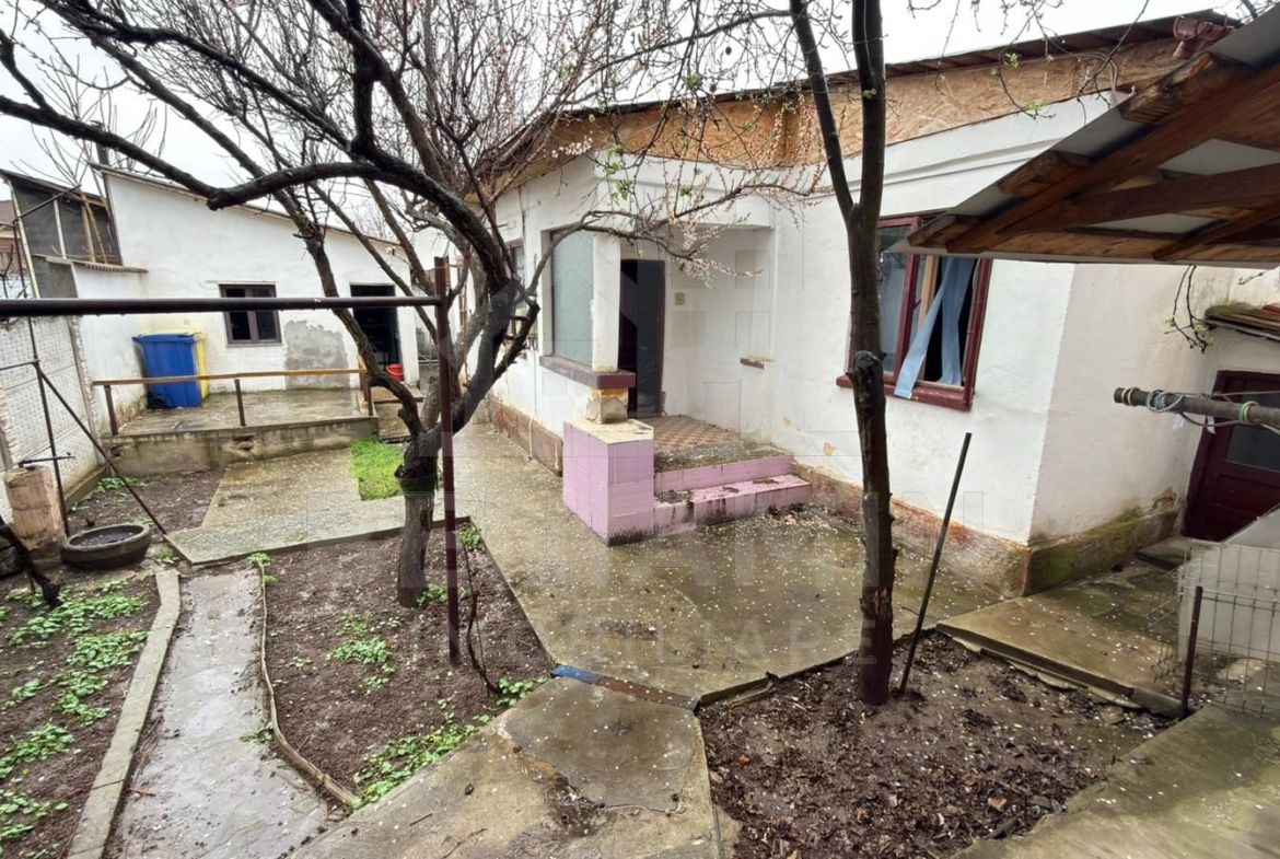 Vila-in-zona-Parcului-Nicolae-Romanescu-curte-mare-doua-constructii - foto 2
