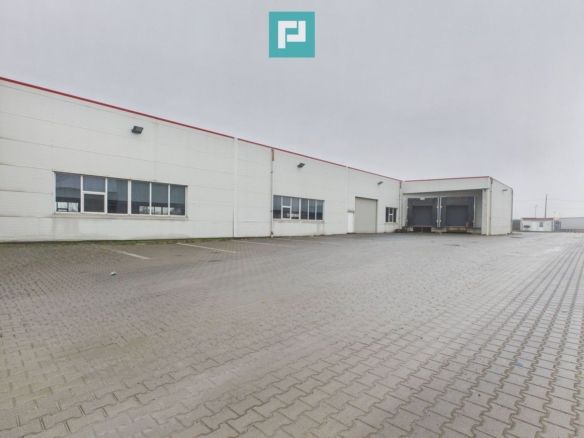 Hală industrială de 4.155 mp Calea Borșului - Imagine principala