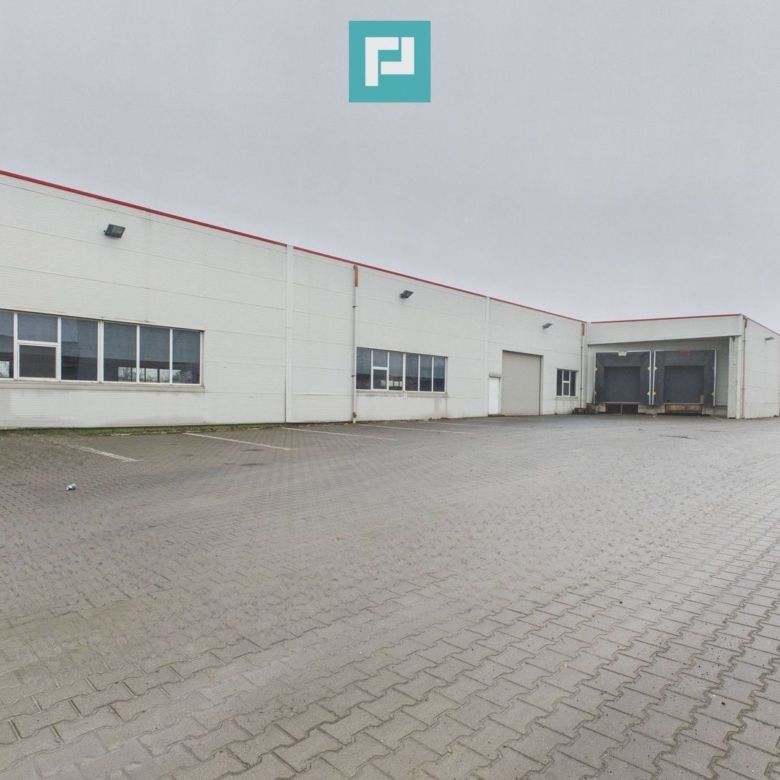 Hală industrială de 4.155 mp Calea Borșului - Imagine principala